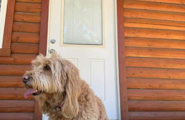 Lost Horse Lodge King Cabin 11 PetsOK - Foto 1