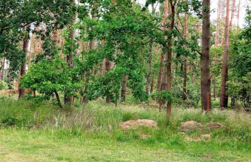 Ferienhaus“ Blaues Wunder“ am Wasser mit Grill - Foto 15