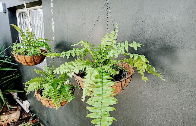 The Seagull Hermanus - Foto 48