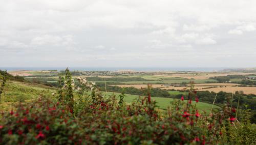 Spangle Cottage, Borrowby Farm Cottages - Foto 4, Garden view