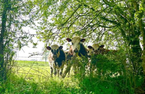 Les Maisons d'Auré - Foto 3