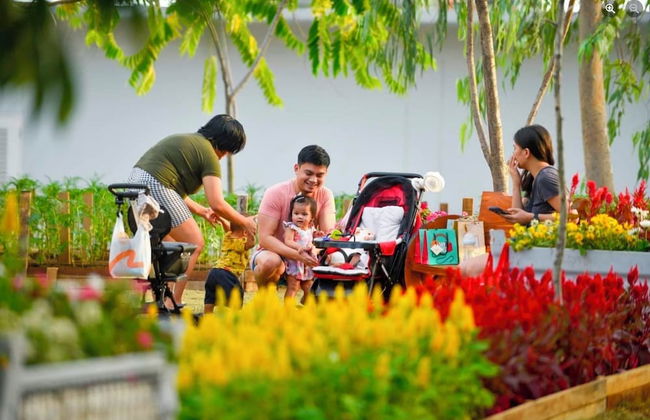 Pandora's Nest - Foto 62