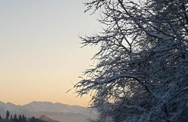 Gite Jeantiane Les Alpes Fleuries - Foto 26