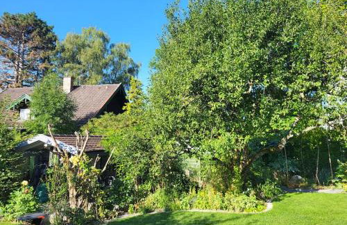Geräumiges Atelier mit Flair und Bergblick - Foto 47