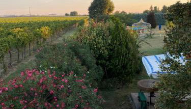 Relaxing house with exclusive swimming pool, close to Imola and Faenza, 4 bathrooms - Photo 4