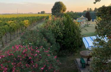 Relaxing house with exclusive swimming pool, close to Imola and Faenza, 4 bathrooms - Photo 4