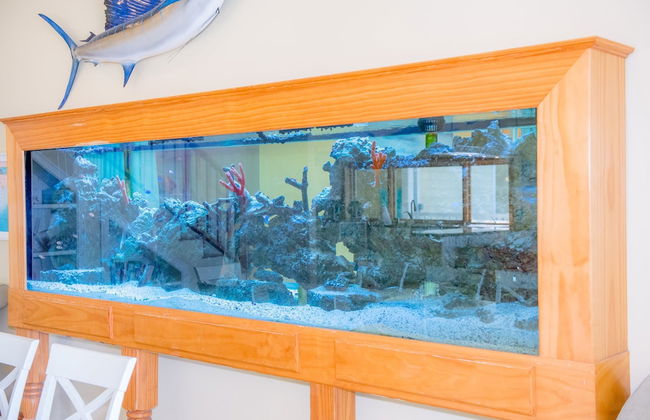 Island Palm Estate in Islamorada - Foto 7