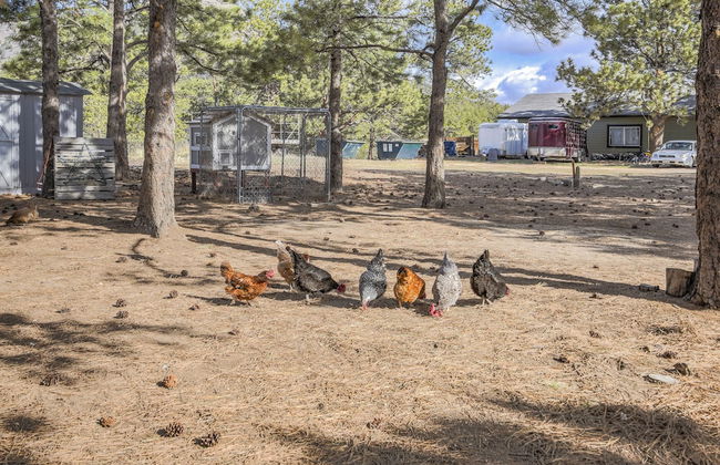 Cowboy Quarters - Foto 31