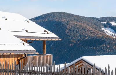 DILIA Chalets & Apartments - Foto 12