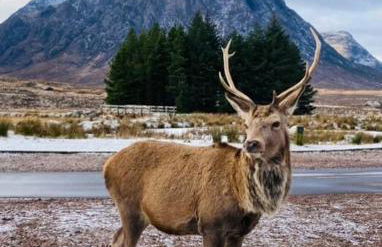 Scottish Highland Cottage Tyndrum Upper Station - Foto 22