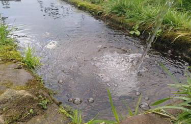 La chouette dort le gîte du retour à la source - Photo 24