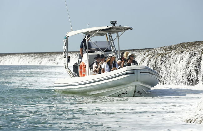 Cygnet Bay Pearls - Foto 29