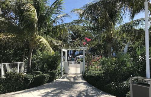 Tropical Daze Oceanfront Paradise - Foto 4