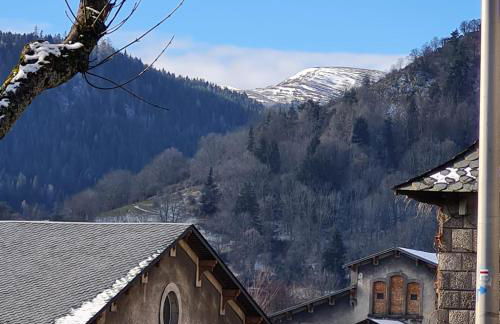 Bel appartement « Les Monts du Cantal » - Photo 22