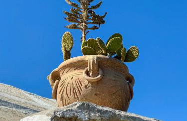 ALMAPULIA I TRULLI - Foto 68