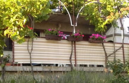 Apartment Krišković - Photo 23