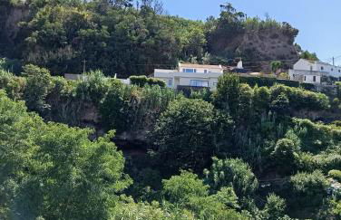 Ribeira da Praia House - Photo 39