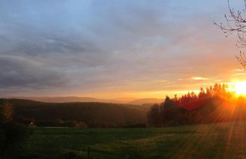Ferienhaus Zopfhäusl - Foto 19