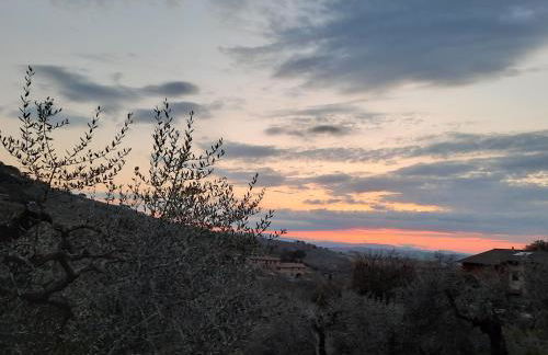 La Piaggiola degli Olivi - Foto 24