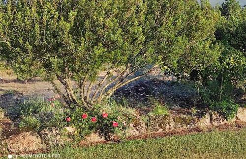 Quinta Damigo - Foto 70