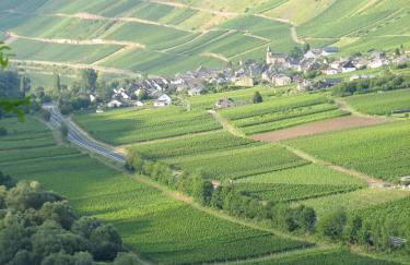 Ferienwohnung Rivaner - Foto 49