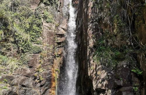 Oliveiras Misarela House - Photo 12