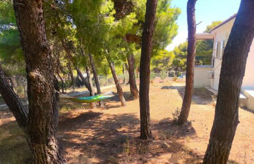 My Place 2 - Foto 17