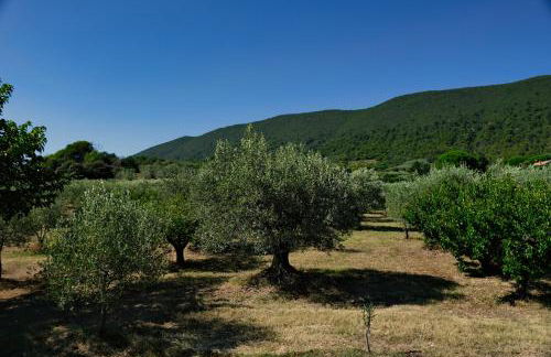 Terre de Lumière - Foto 24