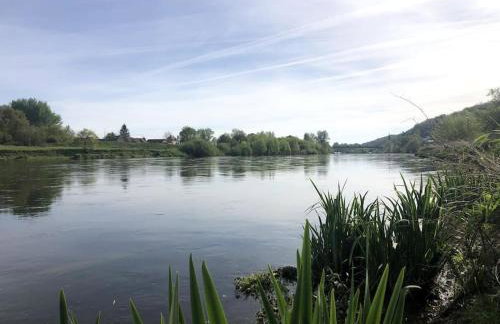 Tiny house sur la Loire à vélo à Villandry - Foto 36