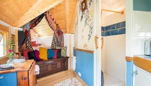 Ophrys ha Melenig - Foto 2