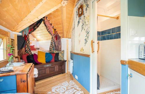 Ophrys ha Melenig - Foto 2