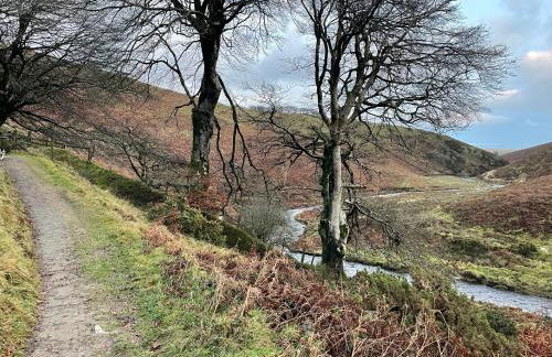 Winstitchen Cottage situated near the River Barle - Foto 71