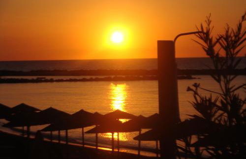 ΠΑΡΑΘΙΝ ΑΛΟΣ 2 - Photo 42