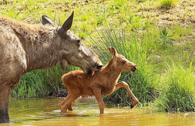 4 Person Holiday Home in Mora - Photo 9