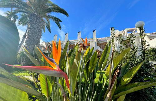 Contemporary House in Cabo Roig - Photo 41