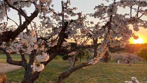 Le Clos d'Estellan - Piscine chauffée - Foto 2, Garden view