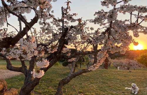 Le Clos d'Estellan - Piscine chauffée - Foto 2
