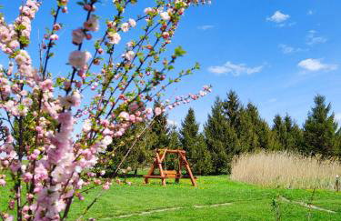 #MazuryWildLife - Foto 6