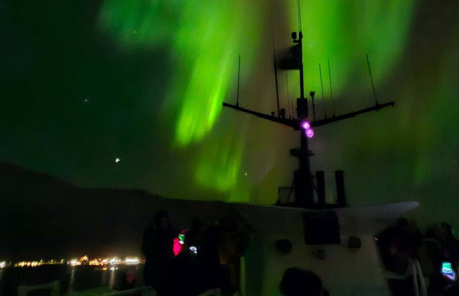 Northern Lights Cruise in Reykjavík - Photo 7