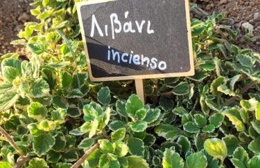 Villa Penelope - Foto 58