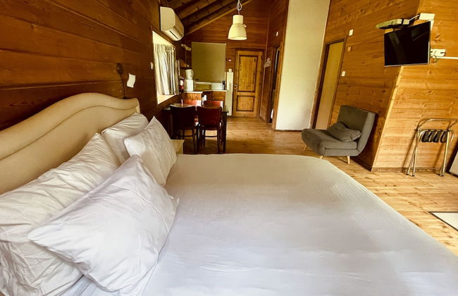 Nofey Habashan - Foto 14