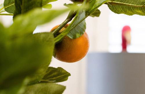 The House Of Selfies - Photo 19