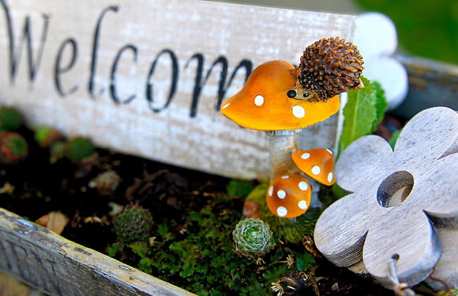 Ferienhaus Oppach - Foto 54