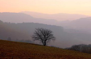 Urlaubs(t)raum - Foto 22