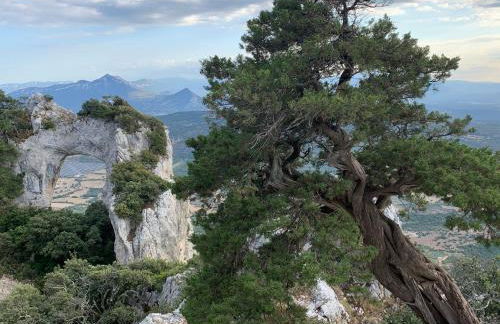 Sa Domu e Muru - Foto 29