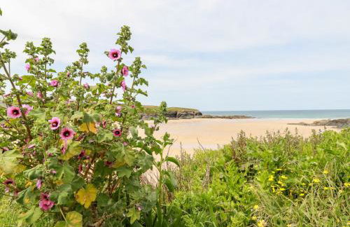 Constantine Bay Cottage - Foto 28