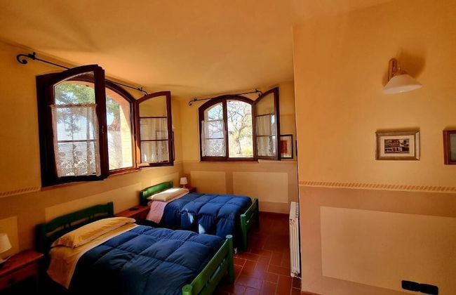 Poggio La Buca - Agriturismo - Foto 4