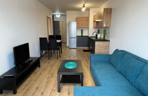 Apartament Dolina Baryczy - Foto 1