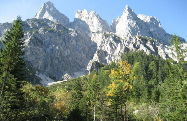 Hirschbichler Modern Retreat - Foto 13