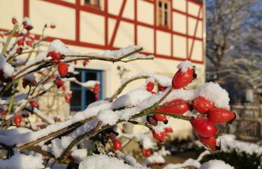 Urlaub im 200 Jahre alten Fachwerkhaus - Foto 68